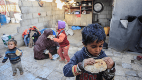 Overlevelse i skyggen af krig