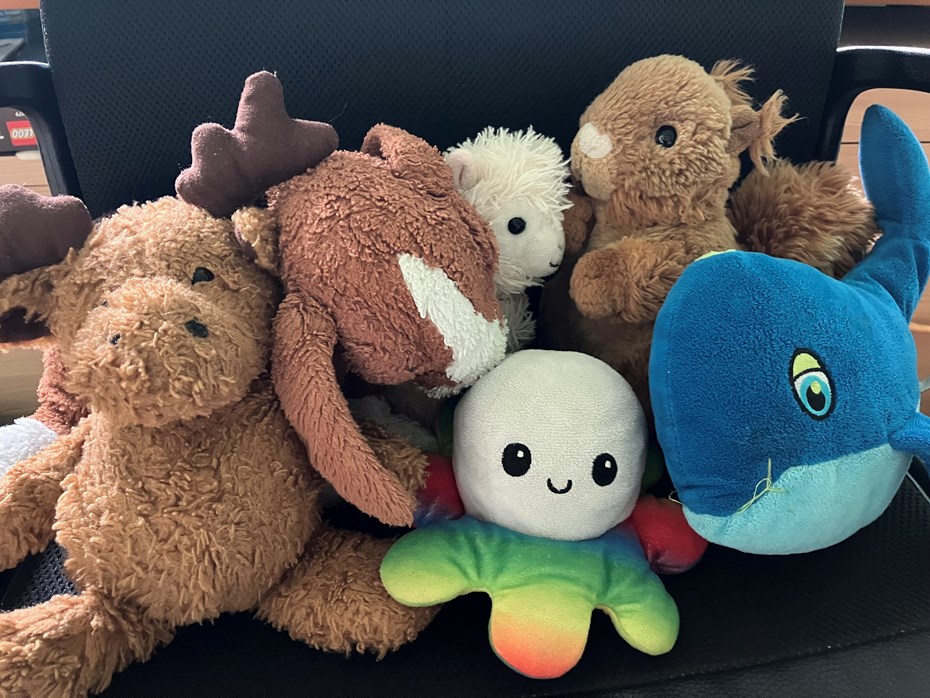 Hjælp forældreløse børn i hele verden